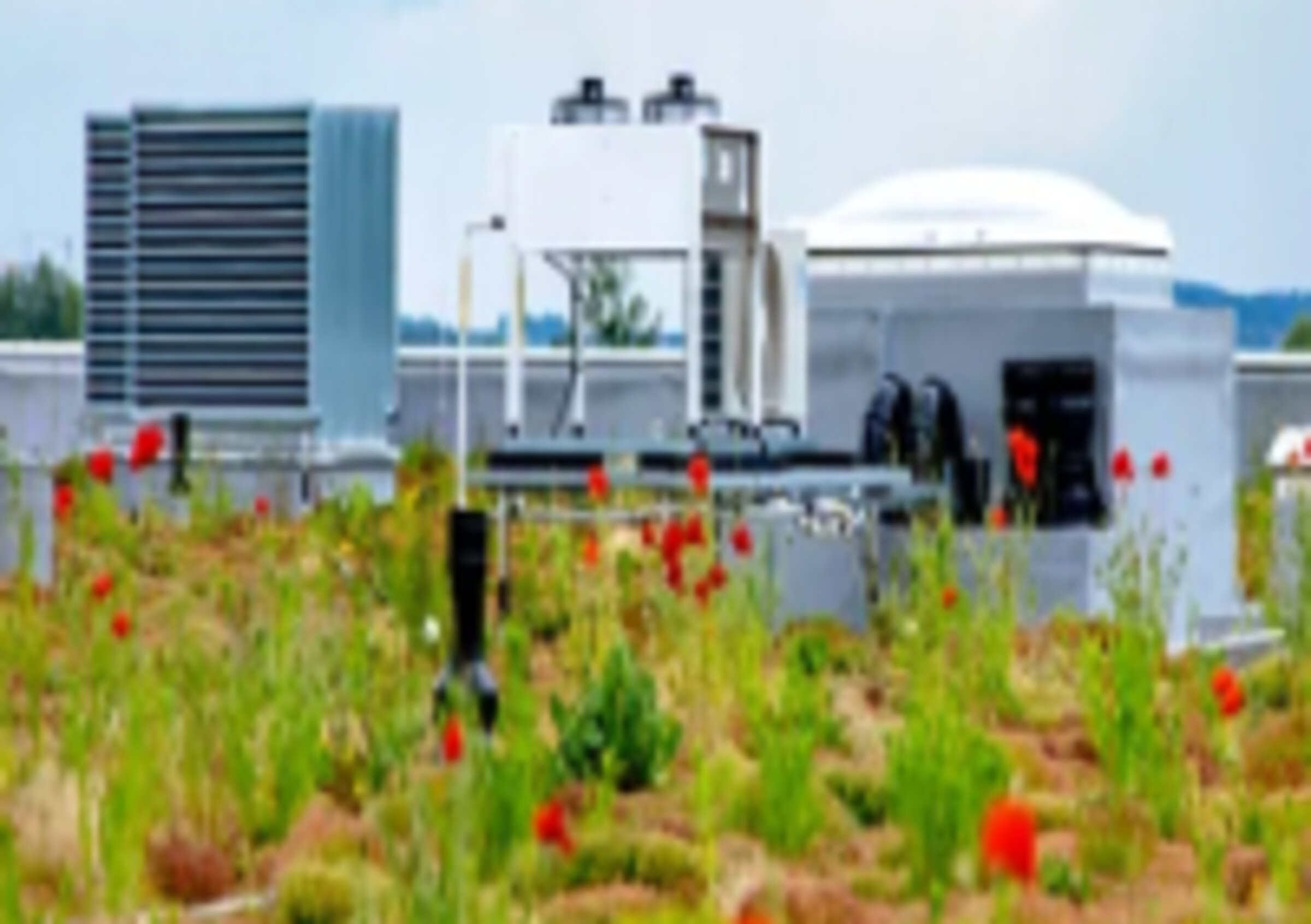 Exterior view of a green roof on an industrial building.