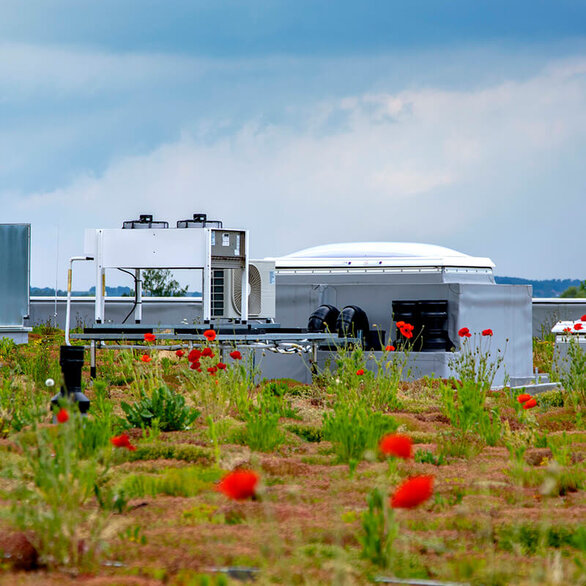 Exterior shot of a green roof on an industrial building.