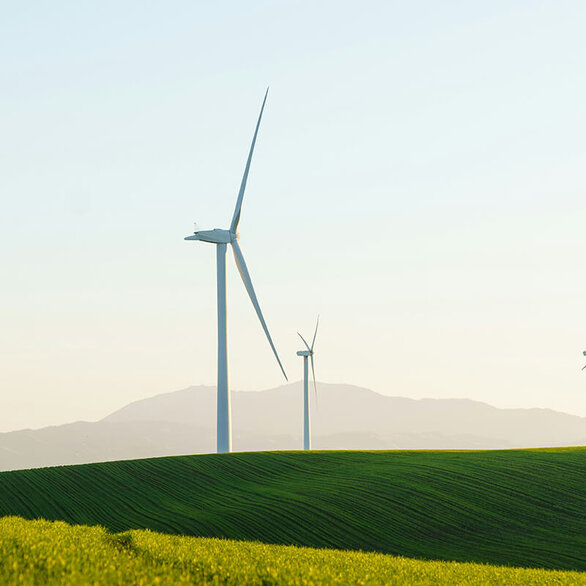 Several wind turbines on a green meadow.